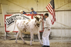 4h discounts ffa discounts