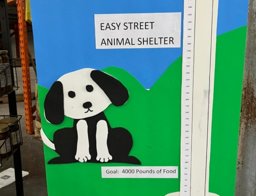 Give to Easy Street Animal Shelter