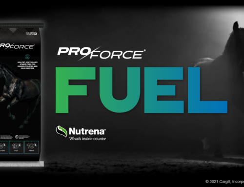 Nutrena Pro Force Fuel Special