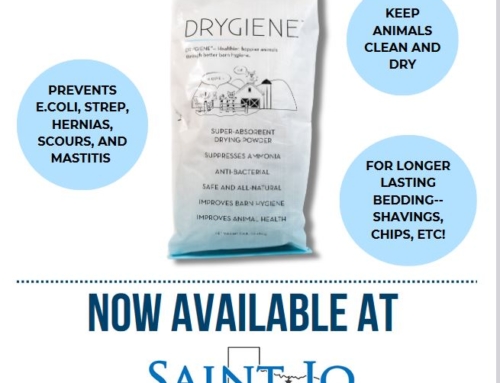 You Have to Try Drygiene